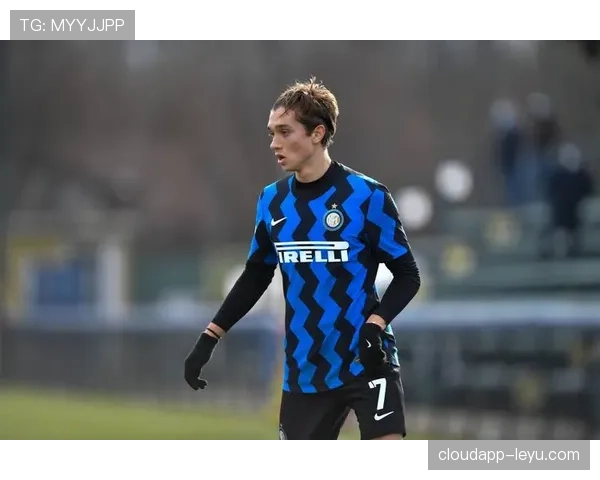 雷吉纳新赛季前景展望：挑战与机遇并存，值得高度关注