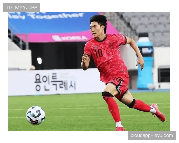 韩国国家队球迷“太极虎”助威热情高涨，稳健表现彰显忠诚支持