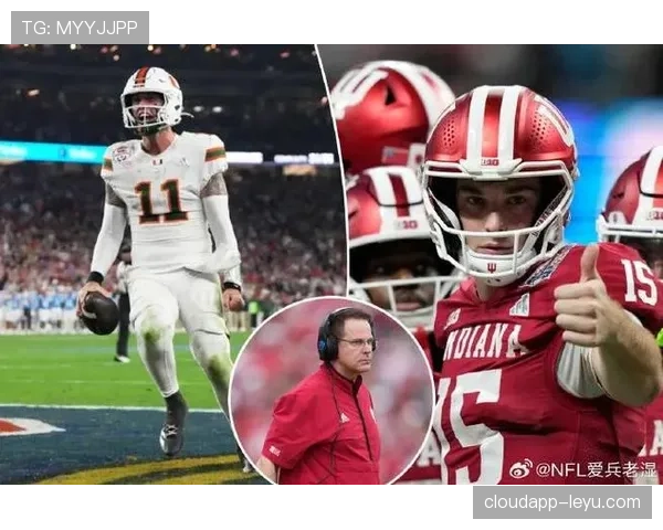 陶菲克居然在豪宅里养了十几只猫，感觉和球场上那个他差好多层次